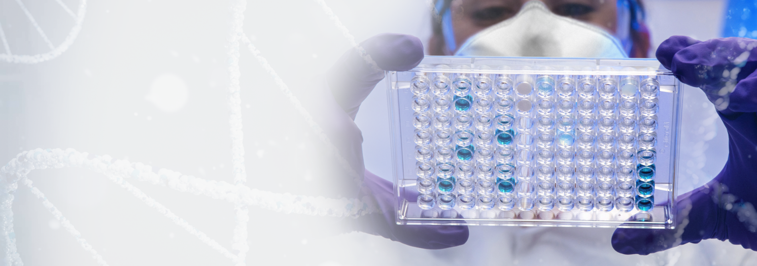 Exames de DNA » BIOANALISES CLINICAS LTDA